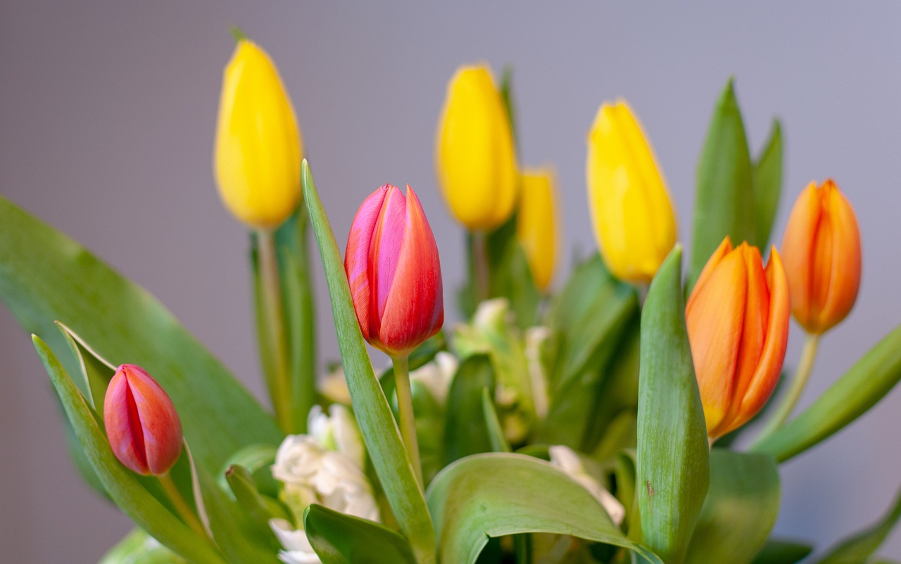 expat coaching marta lenarczyk kryzys na walizkach